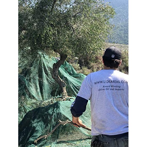 Organic Greek Extra Virgin Olive Oil - 2019/20 Harvest - Nongmo