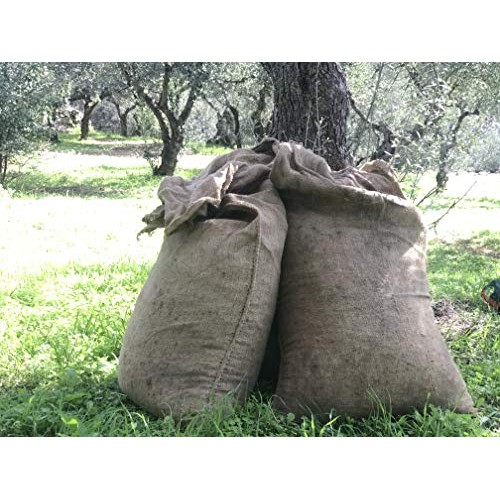 Rosemary Extra Virgin Olive Oil - Cold Fused - Cold Pressed With