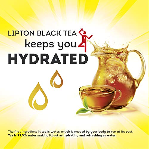 Lipton Family Iced Tea Bags, Black Tea, 22 Ct Pack Of 6