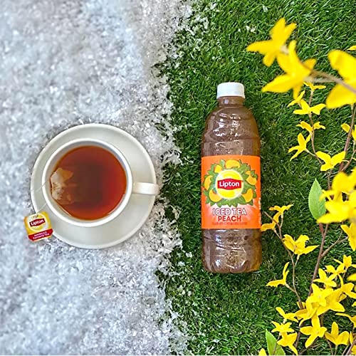 Lipton Peach Iced Black Tea Plastic Bottle 16.9 fl oz 24 Pack