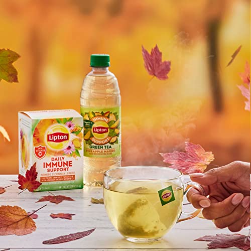 Lipton Pineapple Mango Iced Green Tea Plastic Bottle 16.9 fl oz ...