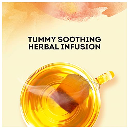 Lipton Soothe Your Tummy Herbal Supplement Tea Bags For a Soothi...