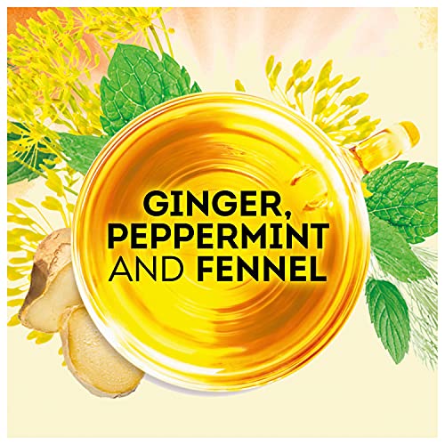 Lipton Soothe Your Tummy Herbal Supplement Tea Bags For a Soothi...