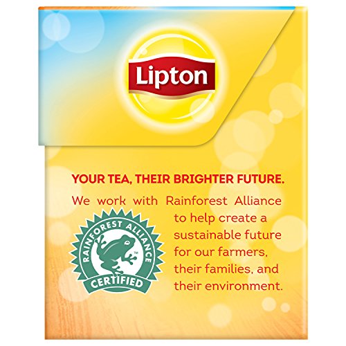 Lipton Family Black Iced Tea Bags Unsweetened 24 Ct, Pack Of 6