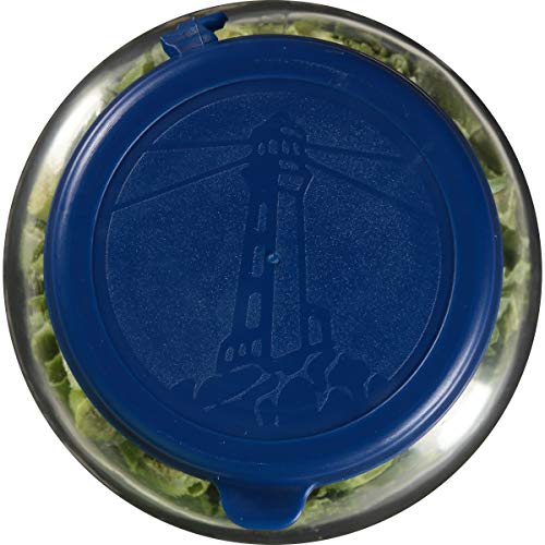 Litehouse Freeze Dried Spring Onion, 0.22 Ounce