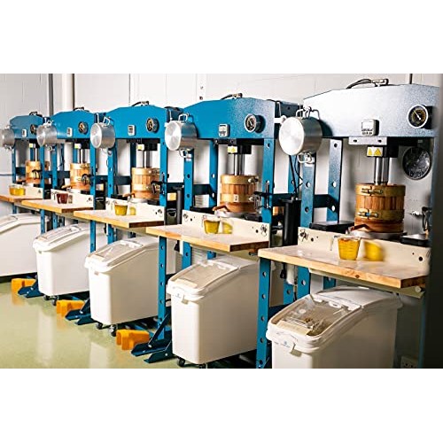 Live Oil by Lesna Organic Black Sesame Seed Powder | Black Sesam...