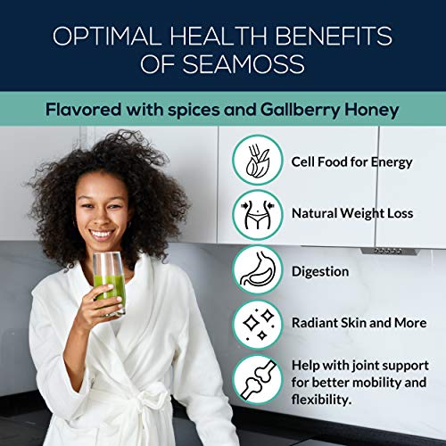 Wildcrafted Sea Moss Gel With Moringa Organic Irish Seamoss With