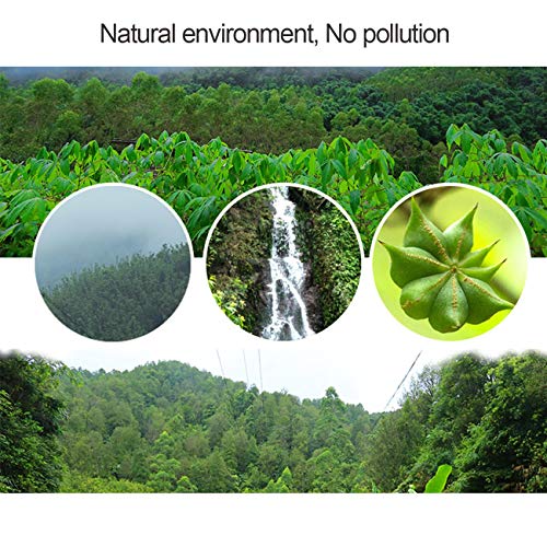 Llgo Star Anise Seeds 1.94Oz, Chinese Star Anise, Star Anise See