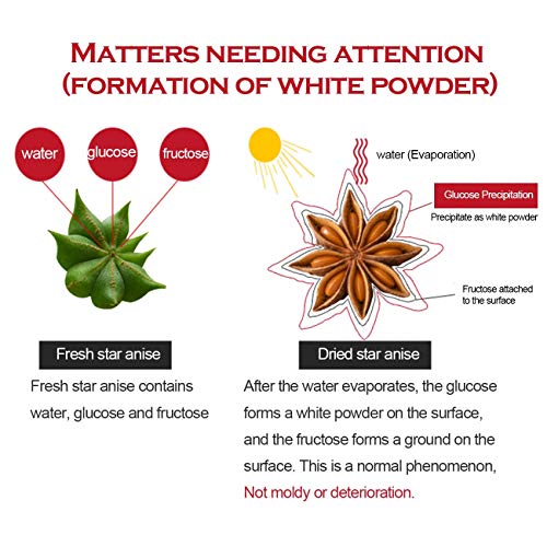 Llgo Star Anise Seeds 1.94Oz, Chinese Star Anise, Star Anise See