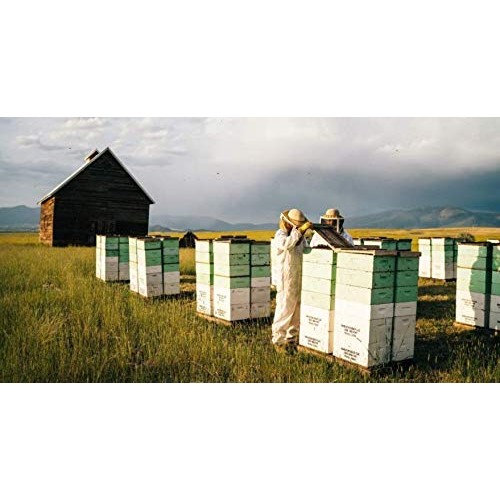 Local Hive, Raw Honey, Pure And Unfiltered, Local Southern Calif