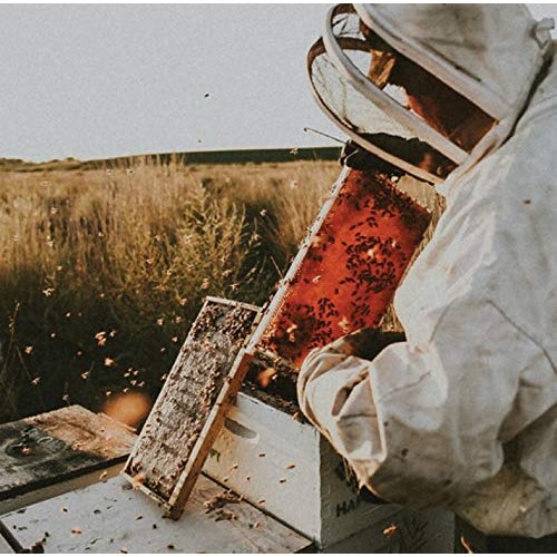 Local Hive, Raw Honey, Pure And Unfiltered, Local Southern Calif