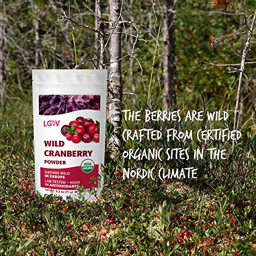Organic Wild Cranberry Powder, 100% Whole Organic Cranberry Frui