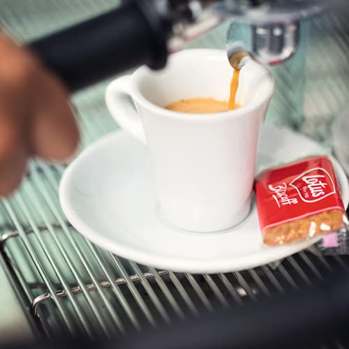 Lotus - Biscoff Original Caramelised Biscuit Pack Of 300