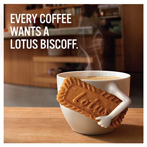 Lotus Biscoff Cookies – Caramelized Biscuit Cookies – 144 Cookie