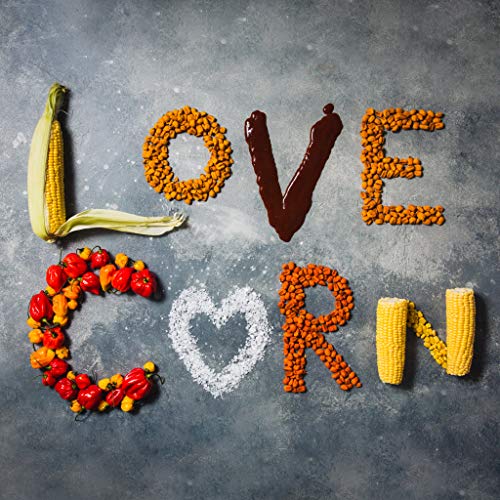 Love Corn: Sea Salt | Roasted Crunchy Corn - Gluten-Free - Plant