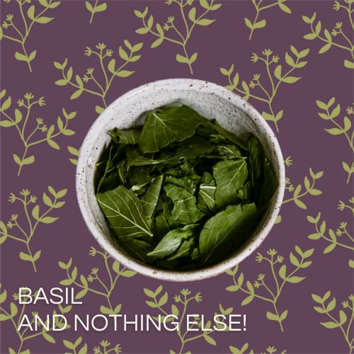 Lyoh Freeze-Dried Basil │ Gourmet Herbs, Spices And Seasonings │