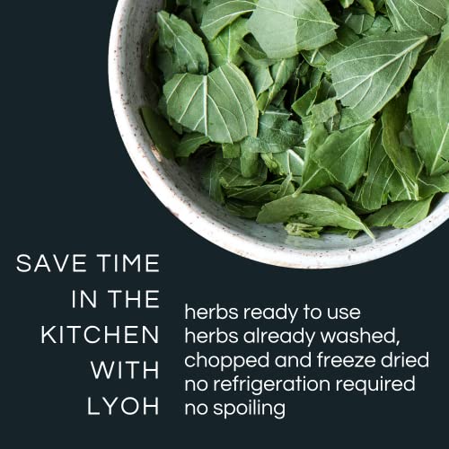 Lyoh Freeze-Dried Basil │ Gourmet Herbs, Spices And Seasonings │