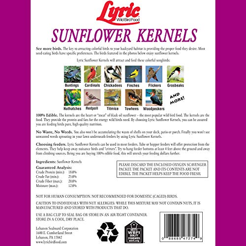 Lyric 2647445 Sunflower Kernels - 5 Lb.