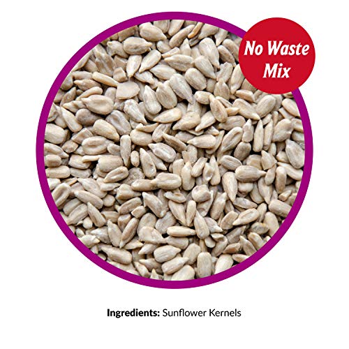 Lyric 2647445 Sunflower Kernels - 5 Lb.