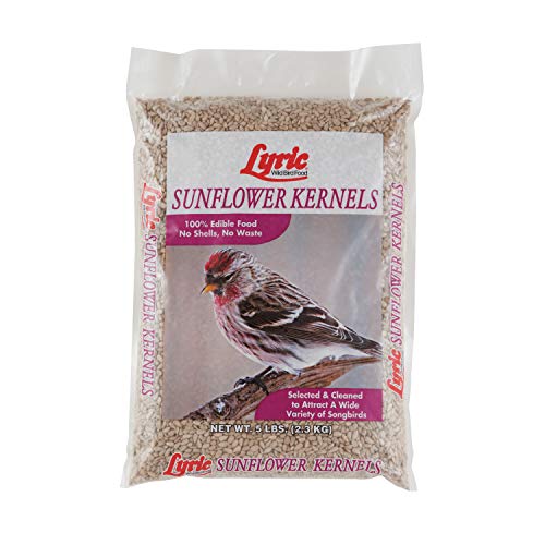 Lyric 2647445 Sunflower Kernels - 5 Lb.