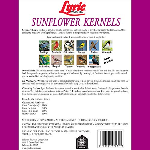 Lyric 2647446 Sunflower Kernels - 25 Lb.