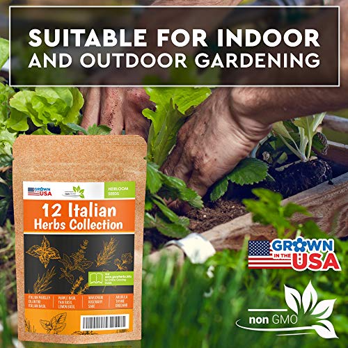 12 Italian Herb Seeds Pack - Heirloom and Non GMO, Grown in USA ...