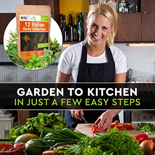 12 Italian Herb Seeds Pack - Heirloom and Non GMO, Grown in USA ...