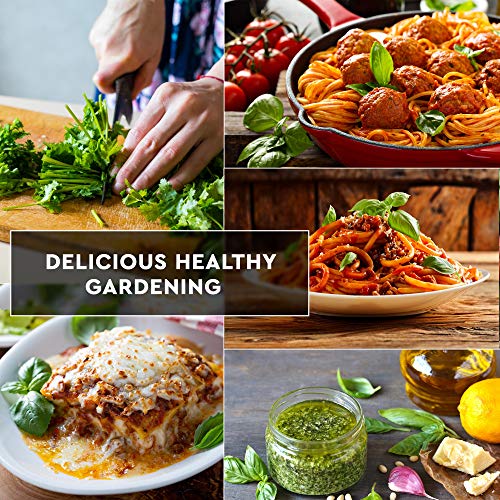 12 Italian Herb Seeds Pack - Heirloom and Non GMO, Grown in USA ...