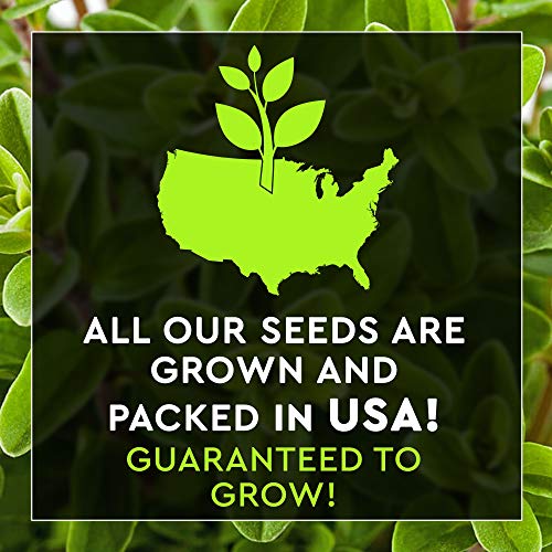 12 Italian Herb Seeds Pack - Heirloom and Non GMO, Grown in USA ...