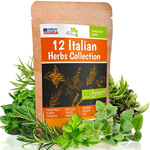 12 Italian Herb Seeds Pack - Heirloom and Non GMO, Grown in USA ...