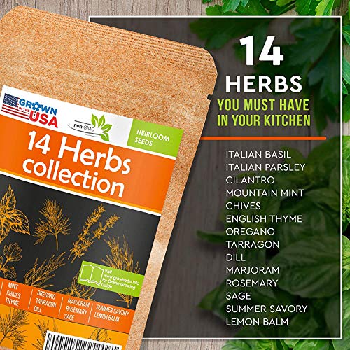 14 Culinary Herb Seeds Pack - Heirloom and Non GMO, Grown in USA...
