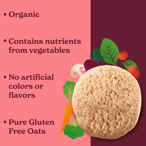 MadeGood Snickerdoodle Crunchy Cookies, gluten-free Cookies - 6 ...