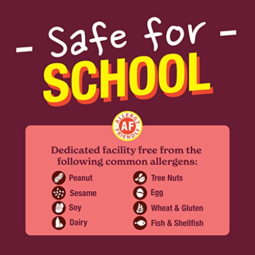 MadeGood Snickerdoodle Crunchy Cookies, gluten-free Cookies - 6 ...