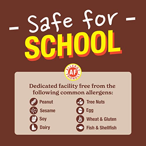 MadeGood Soft Baked Chocolate Chip Mini Cookies, Gluten Free & S...