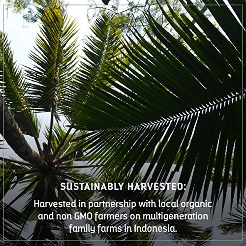 Madhava Organic Coconut Sugar 16 Oz. Bag Pack Of 3 | Natural S