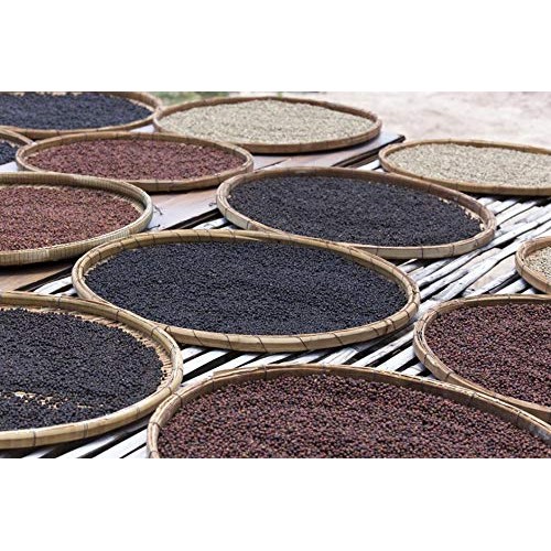 Magjo Naturals Black Peppercorn Whole | Exclusive Cambodian Me