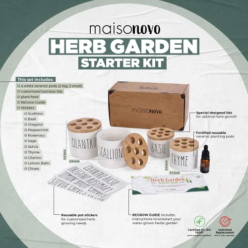 MaisoNovo Regrow Indoor Herb Garden Starter Kit for Kitchen Coun...
