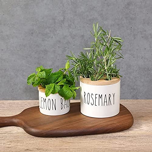 MaisoNovo Regrow Indoor Herb Garden Starter Kit for Kitchen Coun...