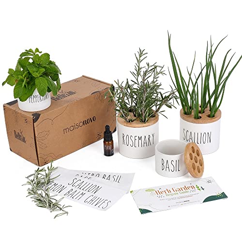 MaisoNovo Regrow Indoor Herb Garden Starter Kit for Kitchen Coun...