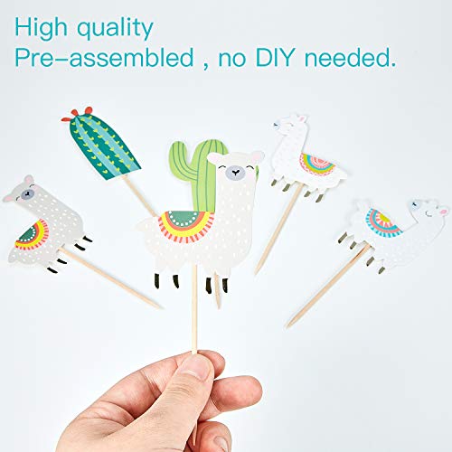 72 Pieces Hawaiian Luau Cupcake Toppers Cake Picks Toothpicks De