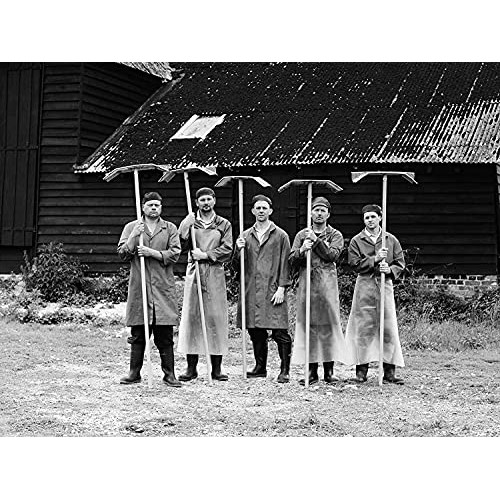 Maldon Salt, Sea Salt Flakes, 8.5 Oz 240 G, Kosher, Natural, H