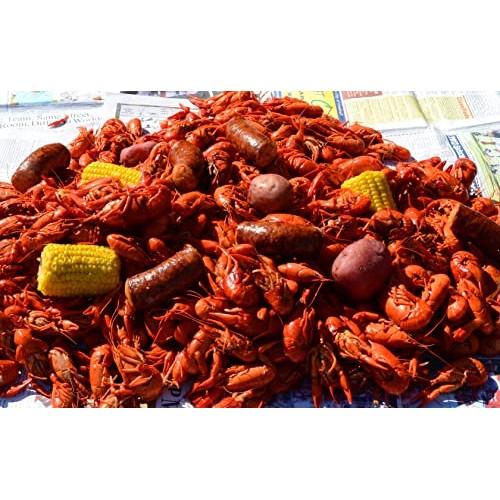 Manda Andouille 10LB