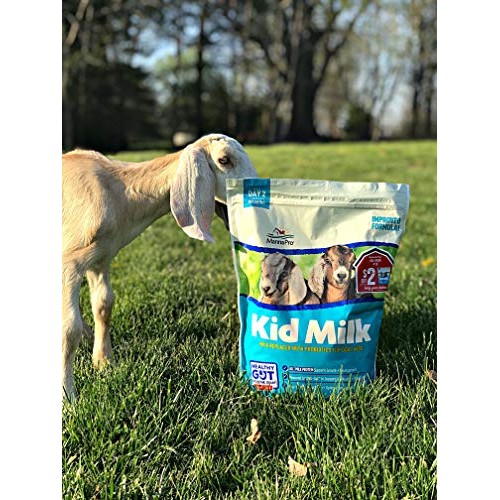 Manna Pro Milk Replacer With Probiotics For Goat Kids | High In