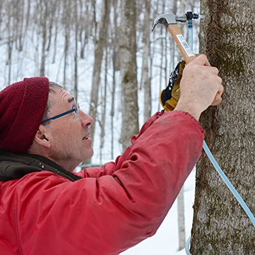 Maple Valley 16 Oz Grade A Dark &Amp; Robust Organic Maple Syrup - 6