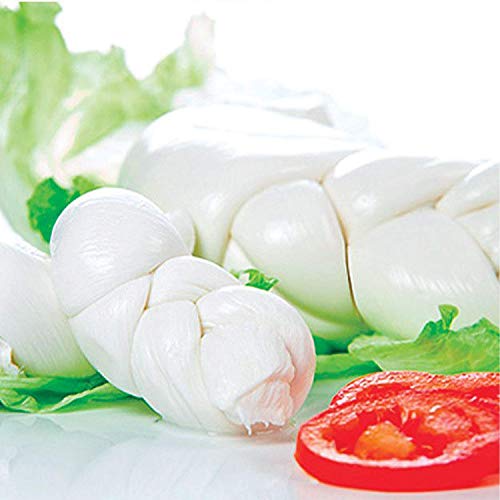 Fresh Italian Cheese Mozzarella Treccia - 6 Pcs X 8 Ounces 1 Ca