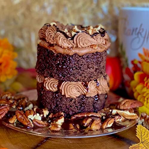 Gourmet Cake in a Jar - Chocolate Cupcake Layered with Pecans an...