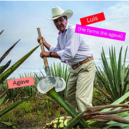 Mayawell Bubbly Prebiotic Soda - Strawberry Hibiscus With Ginger