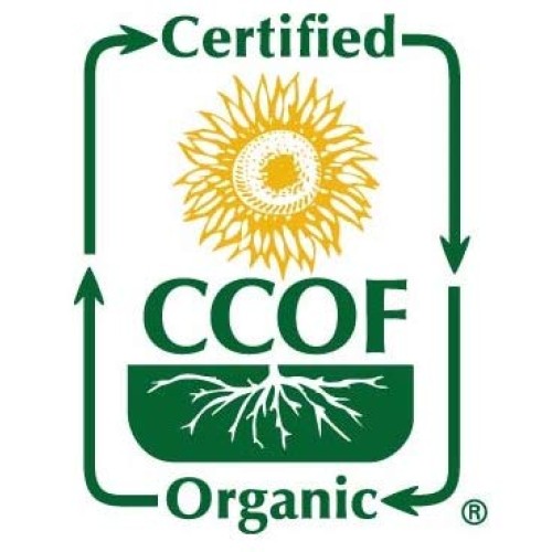 McCabe Organic Crimson Clover Sprouting Seeds for Microgreens, 1...