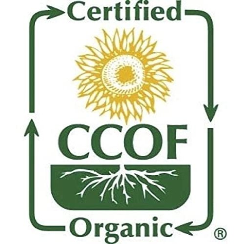 McCabe Organic Millet Flour, 2lb 32 oz, USDA Certified Organic...