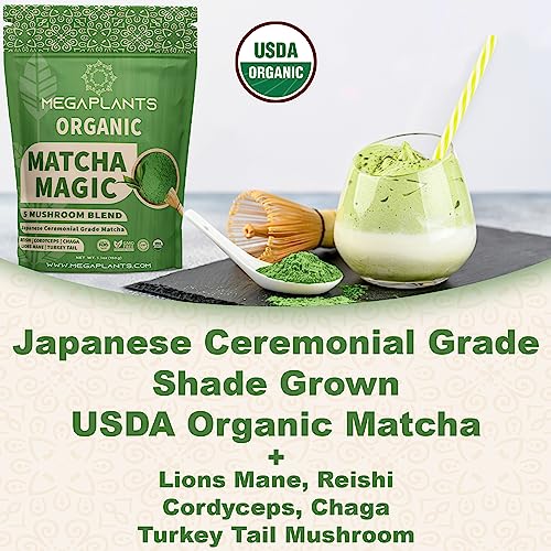 MEGAPLANTS Matcha Magic 50 Servings | Superfood 5 Mushroom Pow...
